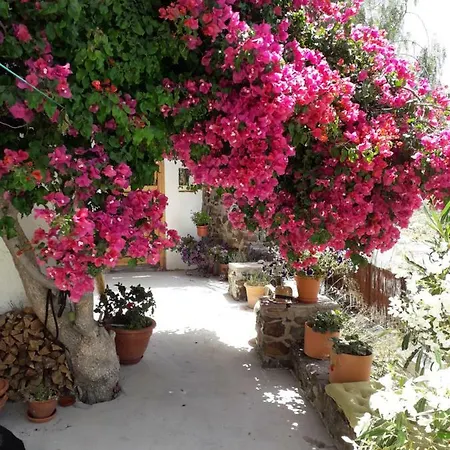 Casa Pimienta Appartement *